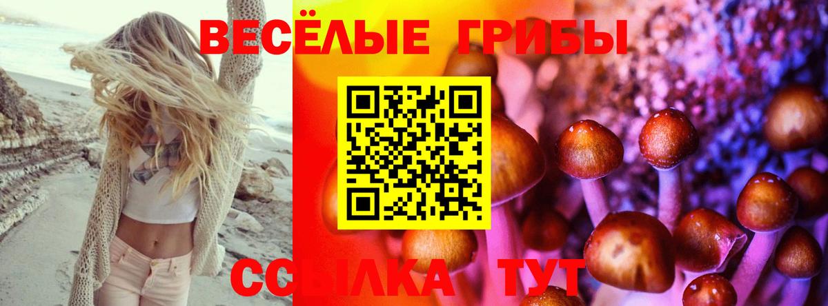 Галлюциногенные грибы Magic Shrooms Кстово