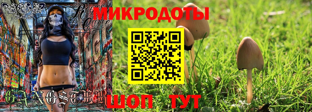 Псилоцибиновые грибы Psilocybine cubensis  Вход с VPN  Кстово 